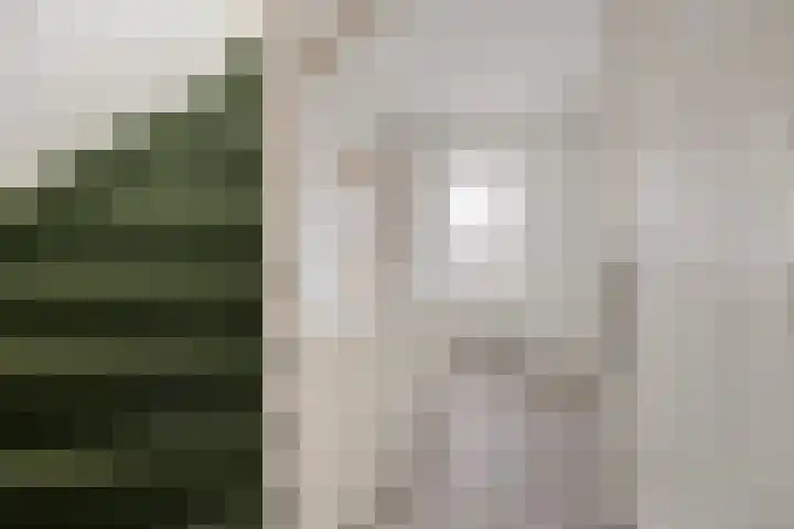 Kievitsweg 56 Ridderkerk thumbnail 15