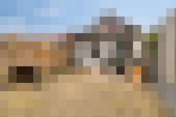Kievitsweg 56 Ridderkerk thumbnail 28