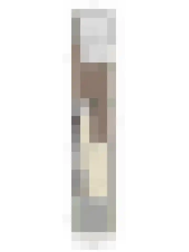 Kievitsweg 56 Ridderkerk thumbnail 36