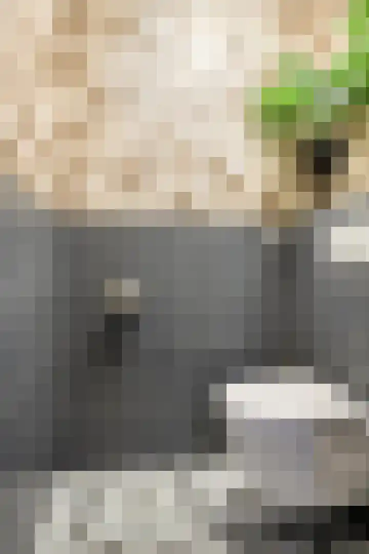 Kievitsweg 56 Ridderkerk thumbnail 5