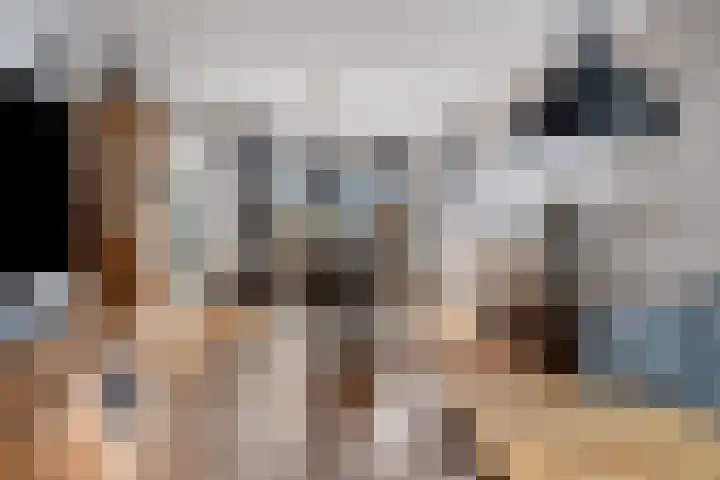 Kievitsweg 56 Ridderkerk thumbnail 8