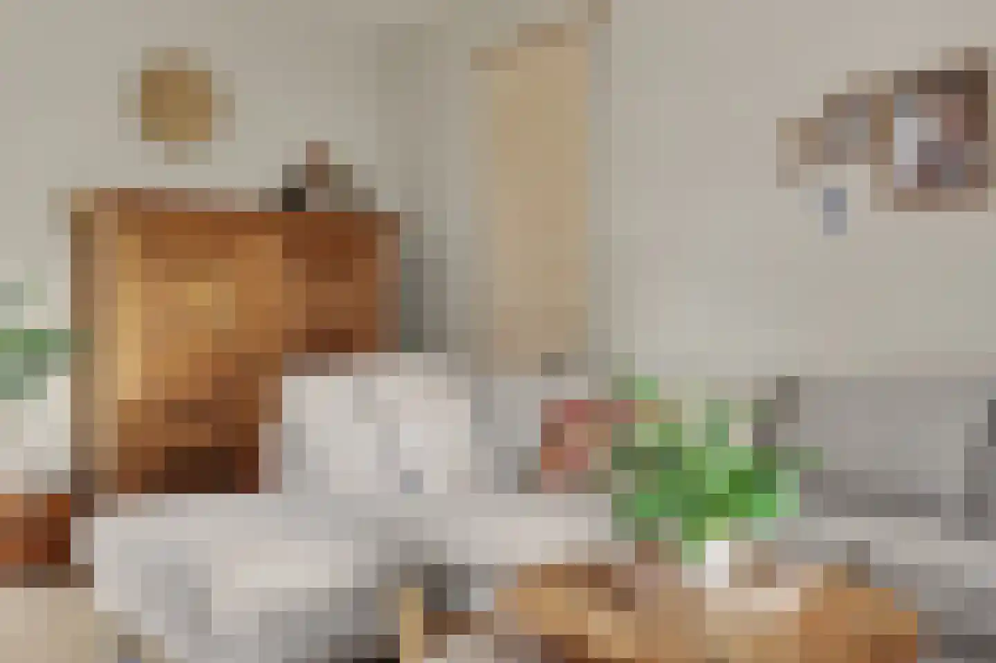 Kievitsweg 63 Ridderkerk thumbnail 10