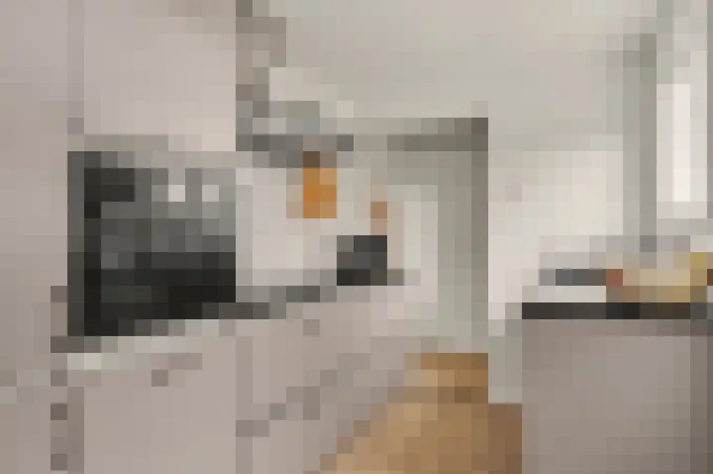 Kievitsweg 63 Ridderkerk thumbnail 17