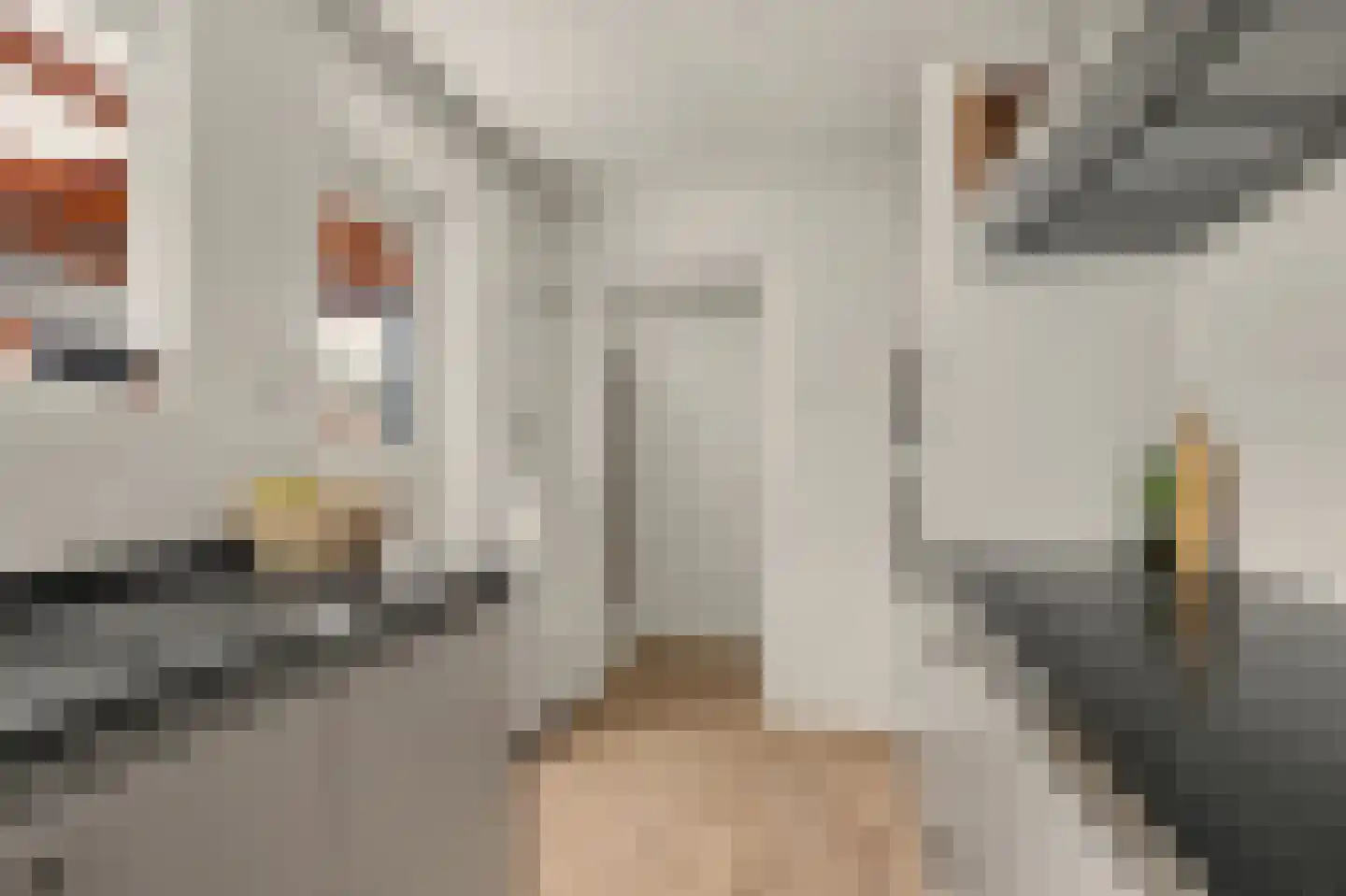 Kievitsweg 63 Ridderkerk thumbnail 18