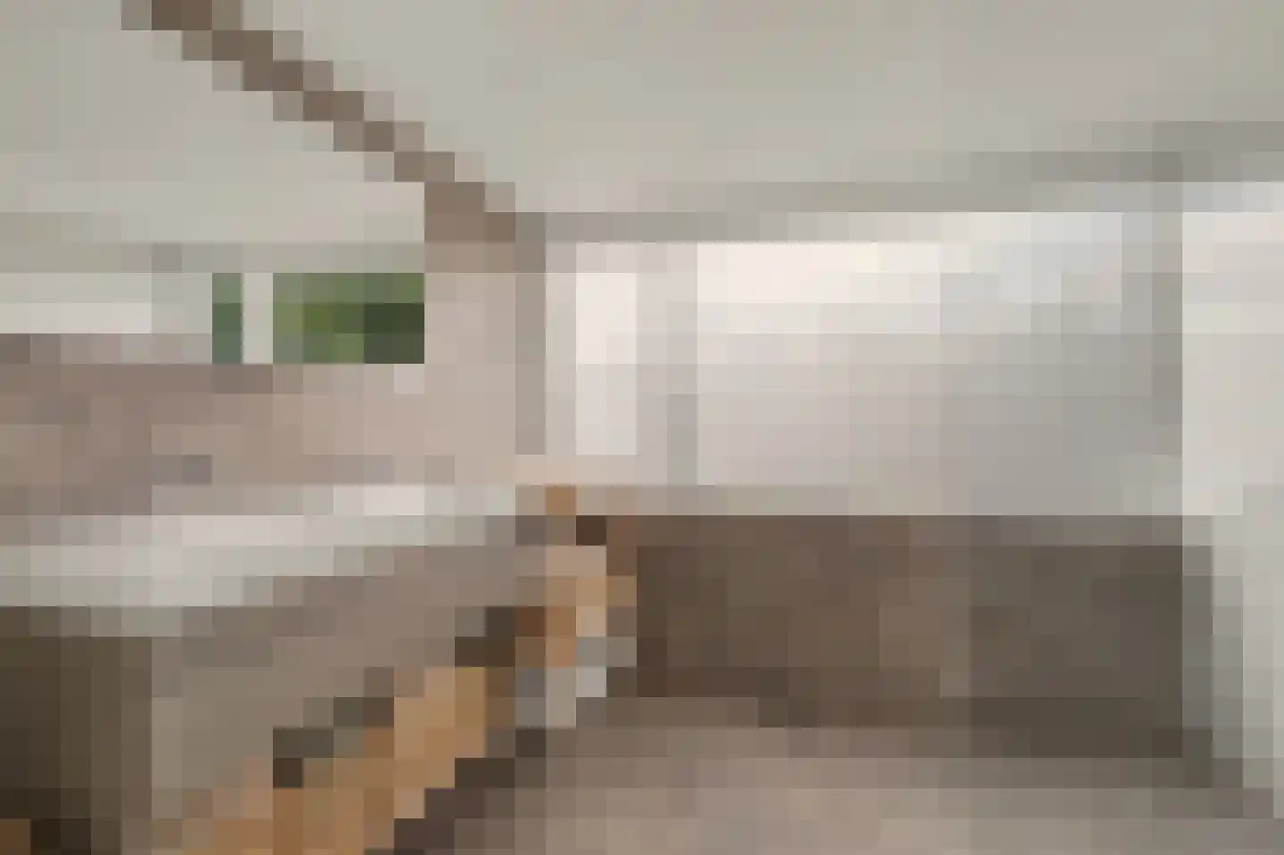 Kievitsweg 63 Ridderkerk thumbnail 30