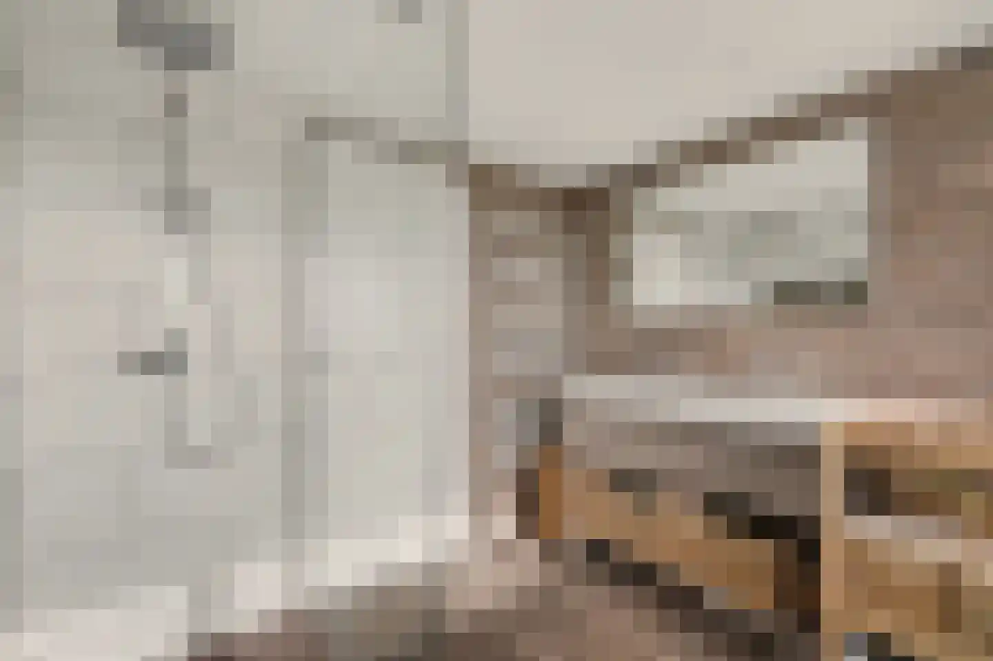 Kievitsweg 63 Ridderkerk thumbnail 31