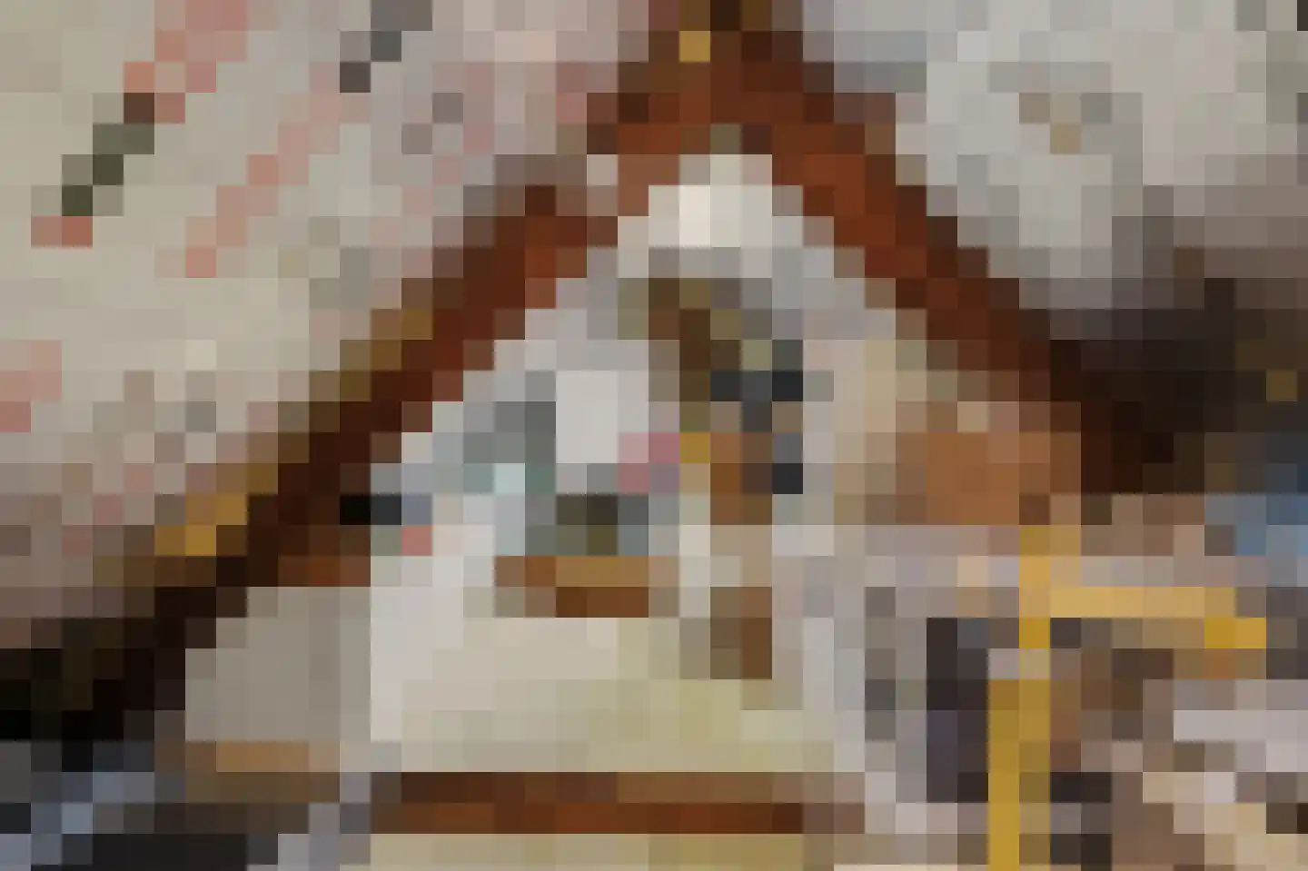 Kievitsweg 63 Ridderkerk thumbnail 34