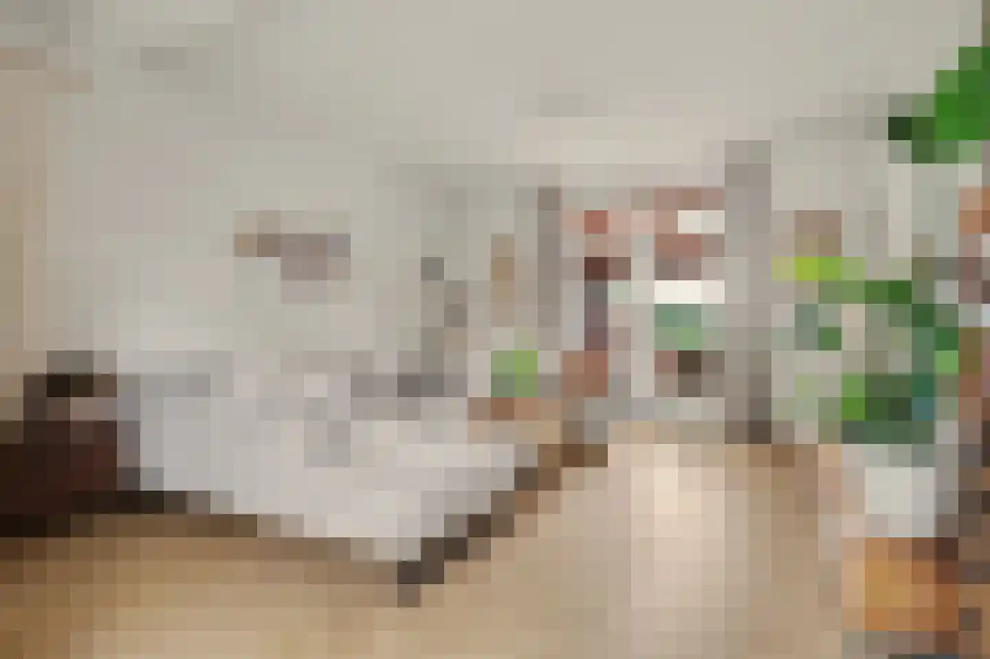 Kievitsweg 63 Ridderkerk thumbnail 4