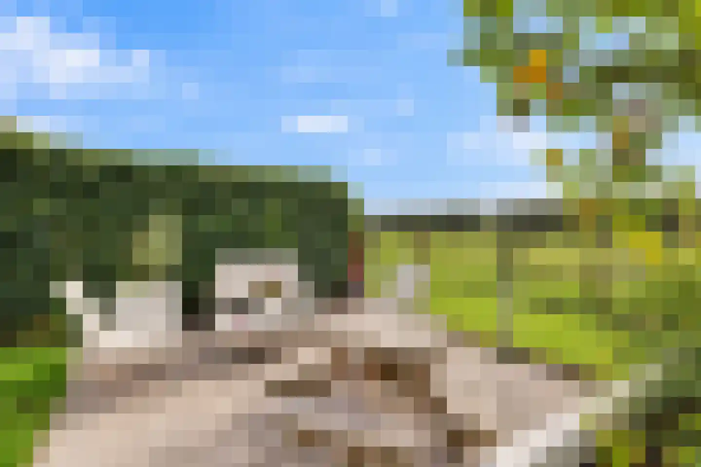 Kievitsweg 63 Ridderkerk thumbnail 41