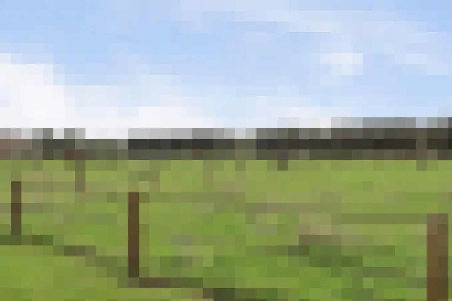Kievitsweg 63 Ridderkerk thumbnail 47