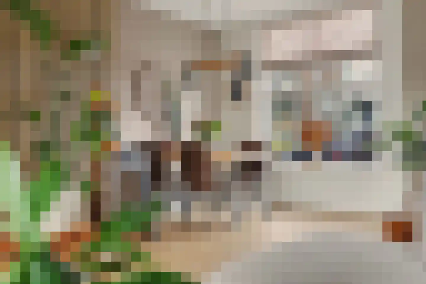 Kievitsweg 63 Ridderkerk thumbnail 5