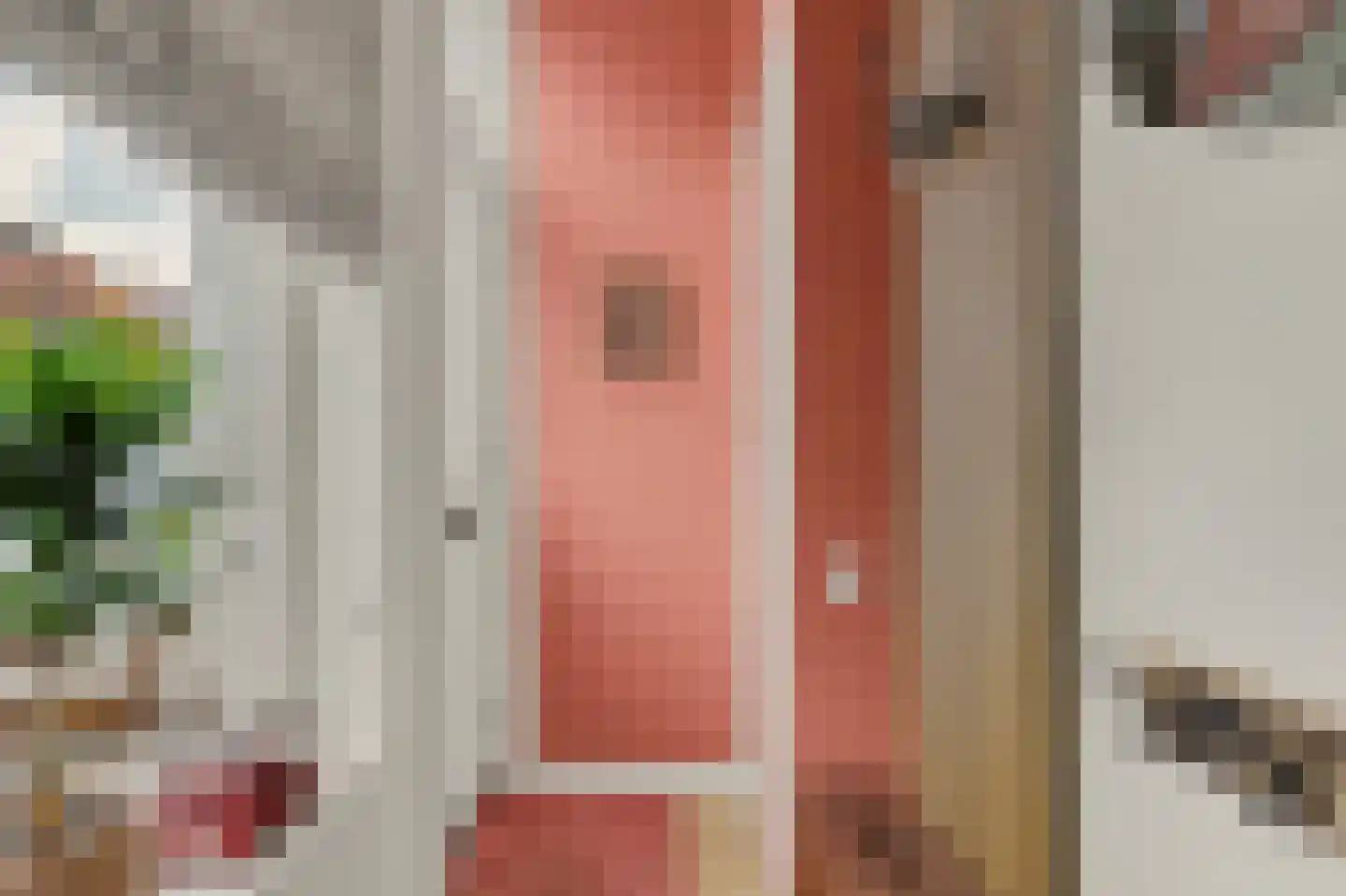 Kievitsweg 63 Ridderkerk thumbnail 6