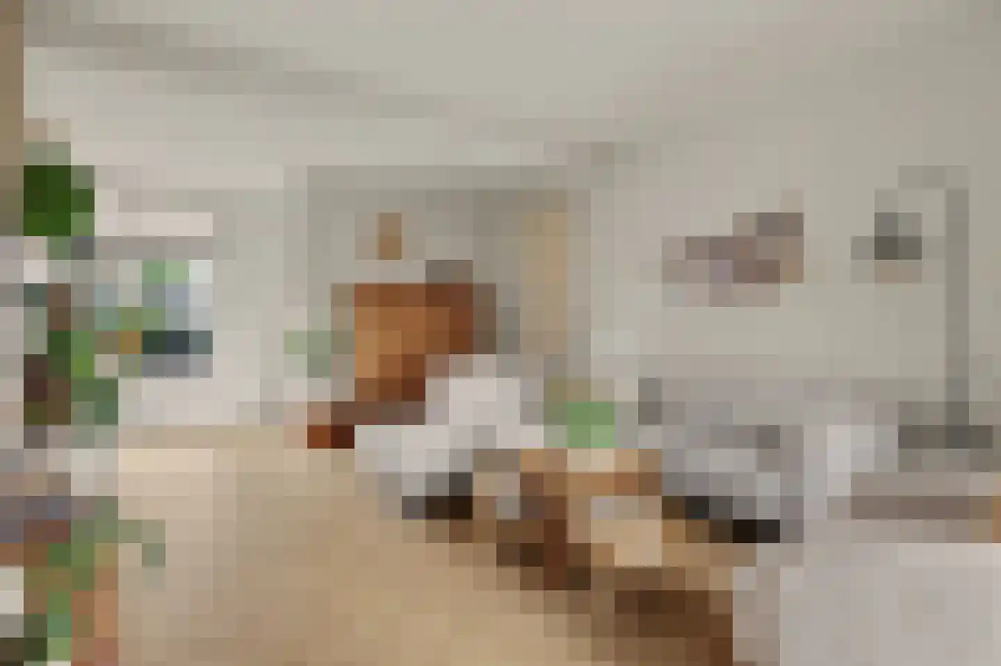 Kievitsweg 63 Ridderkerk thumbnail 9