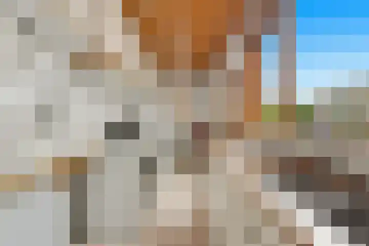 Kievitsweg 64 Ridderkerk thumbnail 10