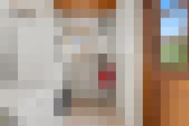 Kievitsweg 64 Ridderkerk thumbnail 11