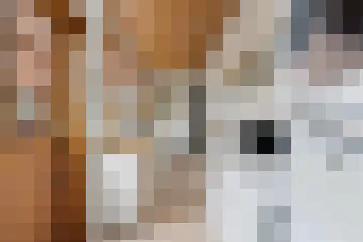 Kievitsweg 64 Ridderkerk thumbnail 12