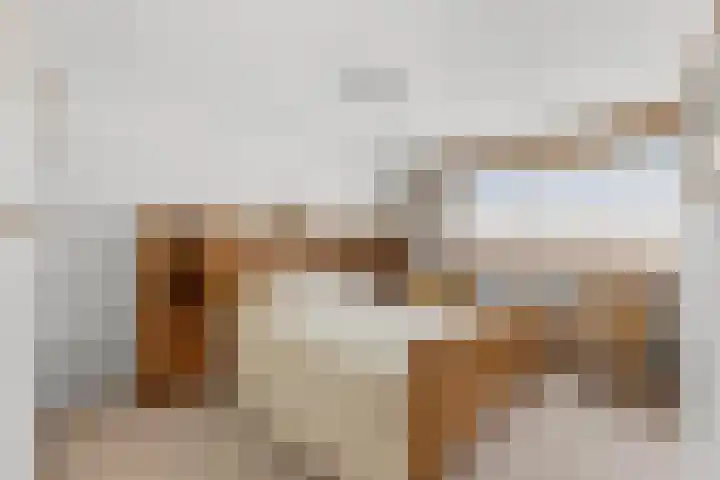 Kievitsweg 64 Ridderkerk thumbnail 16