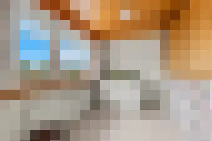 Kievitsweg 64 Ridderkerk thumbnail 18