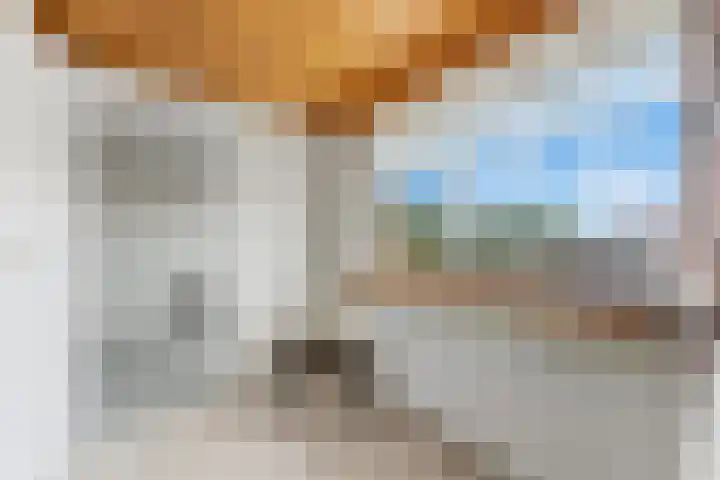 Kievitsweg 64 Ridderkerk thumbnail 19