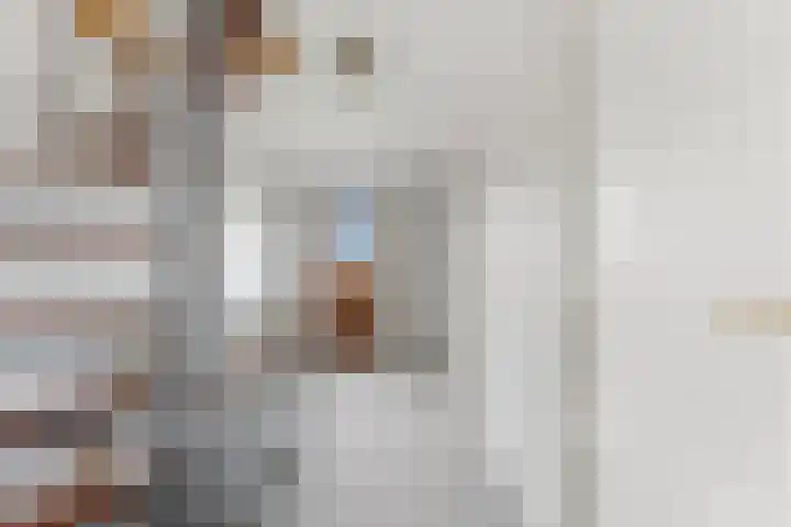 Kievitsweg 64 Ridderkerk thumbnail 22
