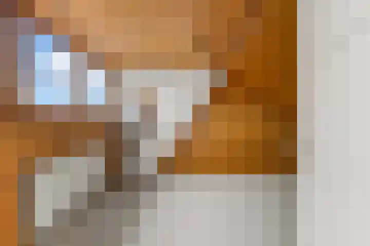 Kievitsweg 64 Ridderkerk thumbnail 27