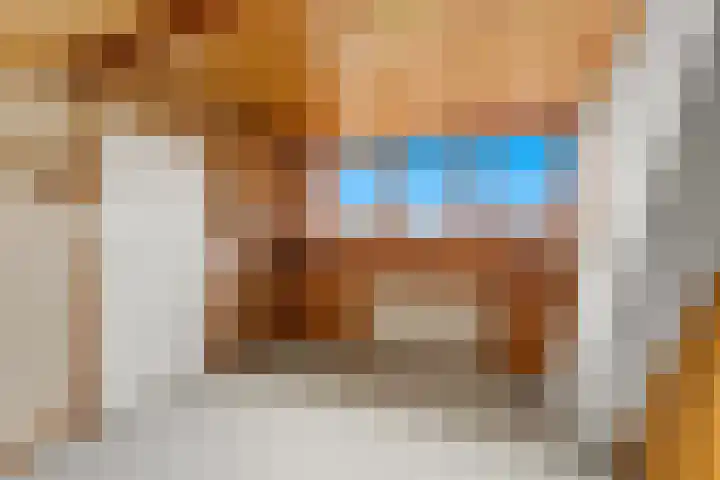 Kievitsweg 64 Ridderkerk thumbnail 29