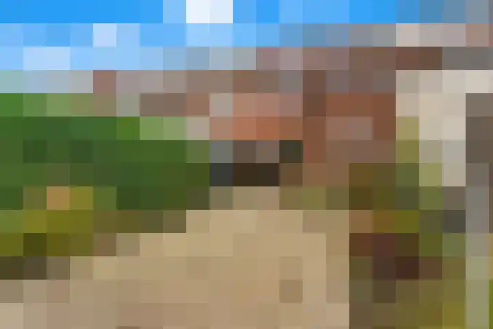 Kievitsweg 64 Ridderkerk thumbnail 31