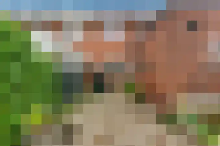 Kievitsweg 64 Ridderkerk thumbnail 32
