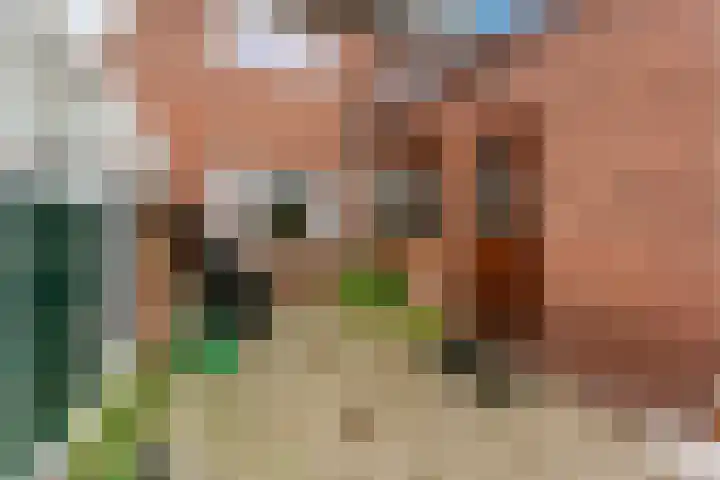 Kievitsweg 64 Ridderkerk thumbnail 33
