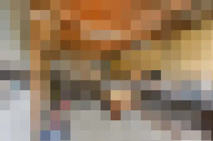 Kievitsweg 64 Ridderkerk thumbnail 37