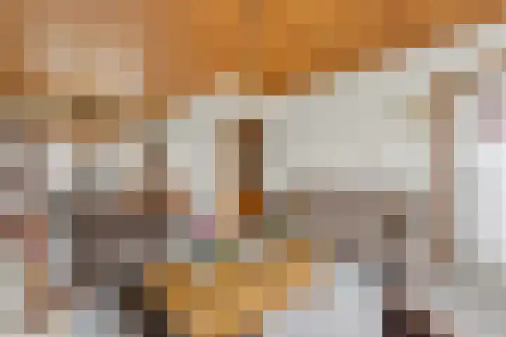 Kievitsweg 64 Ridderkerk thumbnail 4