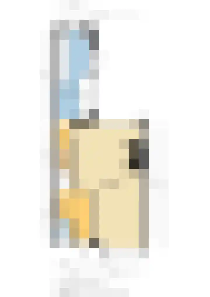 Kievitsweg 64 Ridderkerk thumbnail 41