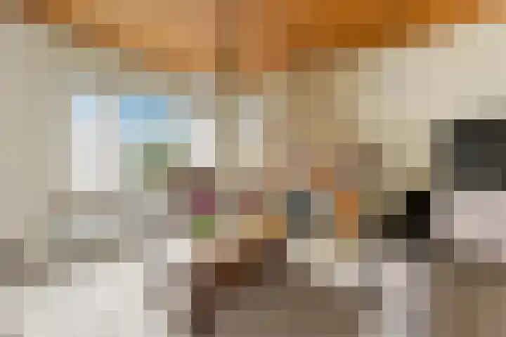 Kievitsweg 64 Ridderkerk thumbnail 5