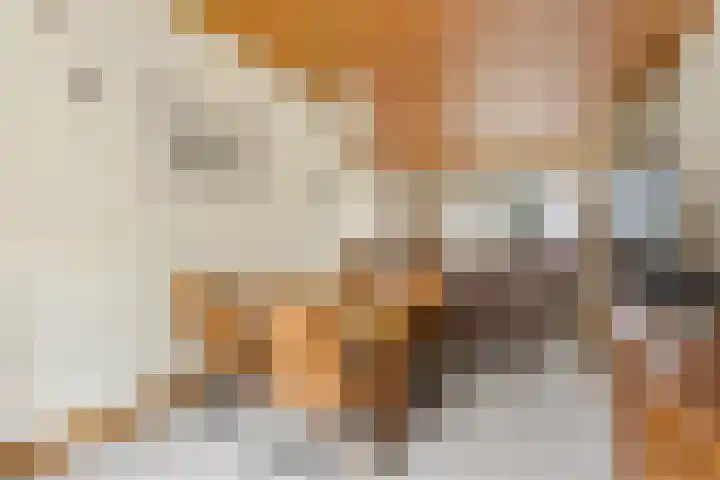 Kievitsweg 64 Ridderkerk thumbnail 6