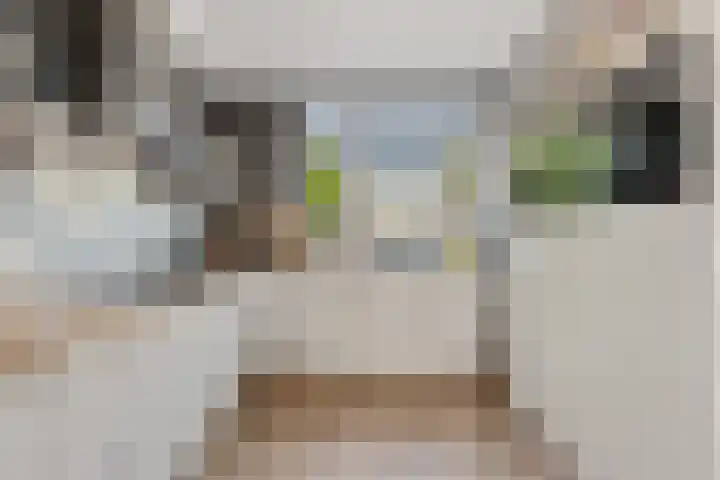 Kievitsweg 95 Ridderkerk thumbnail 14