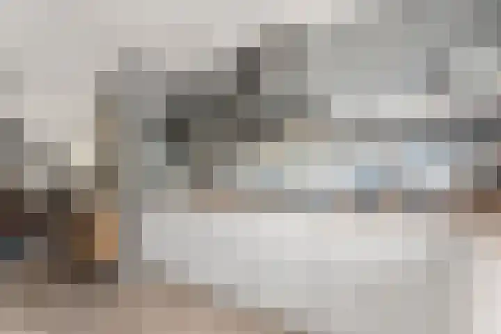 Kievitsweg 95 Ridderkerk thumbnail 15