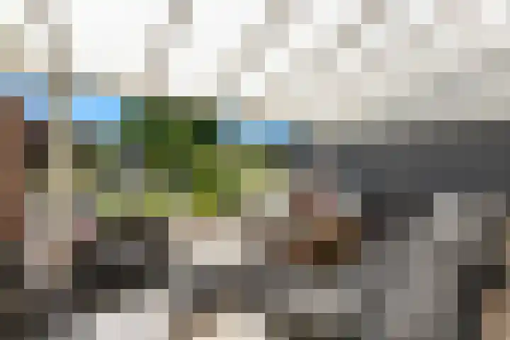 Kievitsweg 95 Ridderkerk thumbnail 17