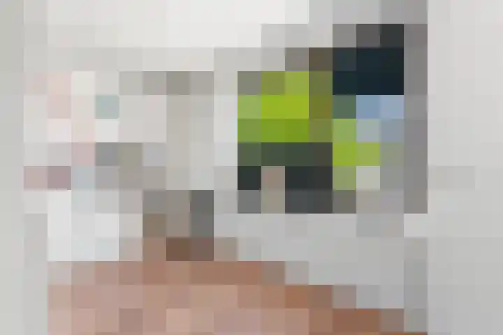 Kievitsweg 95 Ridderkerk thumbnail 28