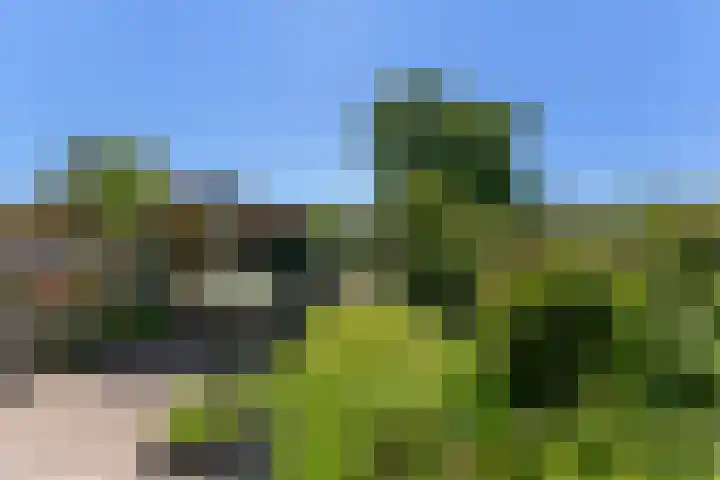 Kievitsweg 95 Ridderkerk thumbnail 44