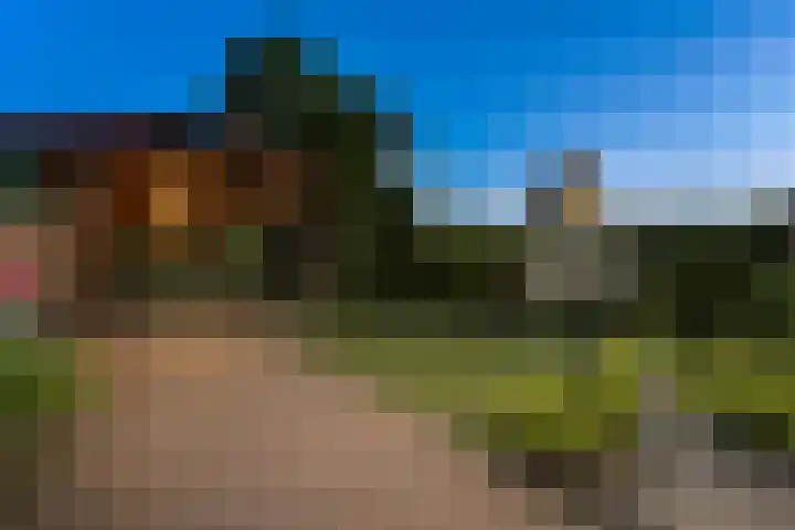 Kievitsweg 95 Ridderkerk thumbnail 46