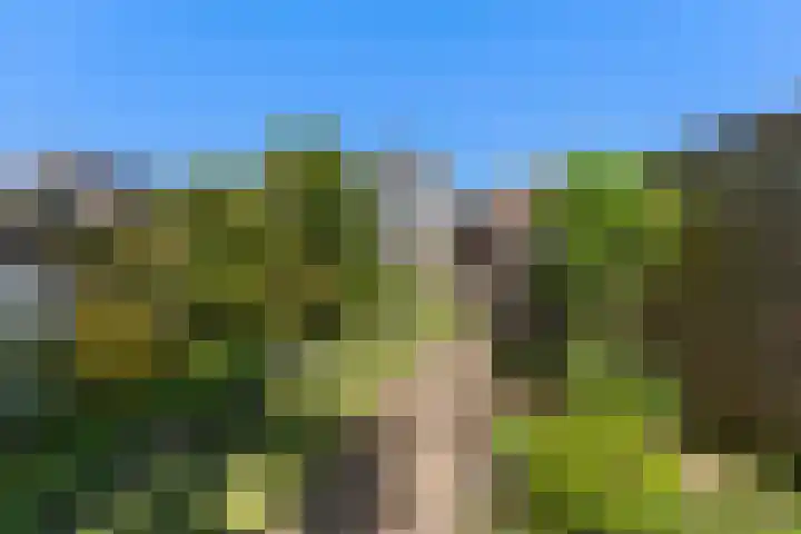 Kievitsweg 95 Ridderkerk thumbnail 52