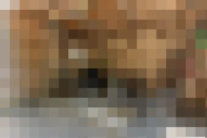 Kievitsweg 95 Ridderkerk thumbnail 57