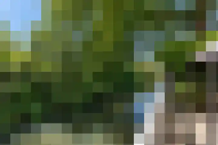 Kievitsweg 95 Ridderkerk thumbnail 59