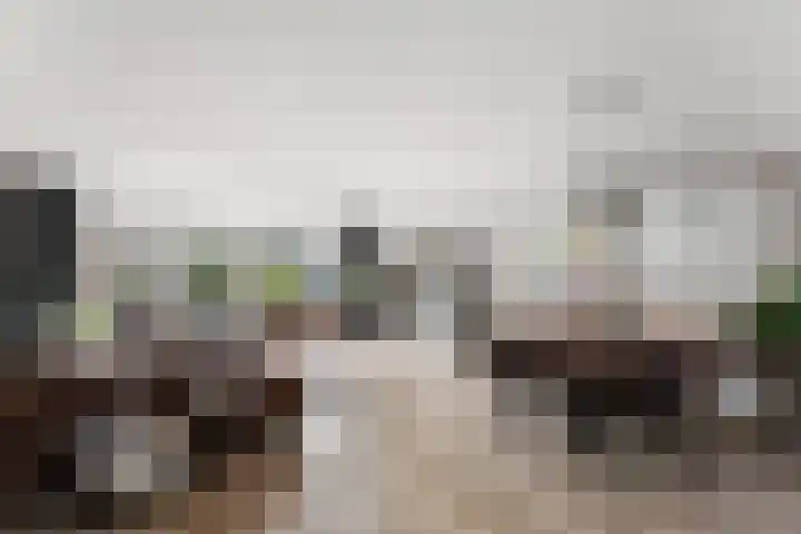Kievitsweg 95 Ridderkerk thumbnail 6