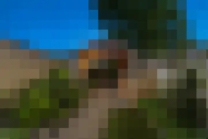 Kievitsweg 95 Ridderkerk thumbnail 65