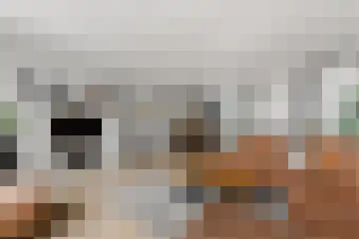Kievitsweg 95 Ridderkerk thumbnail 8