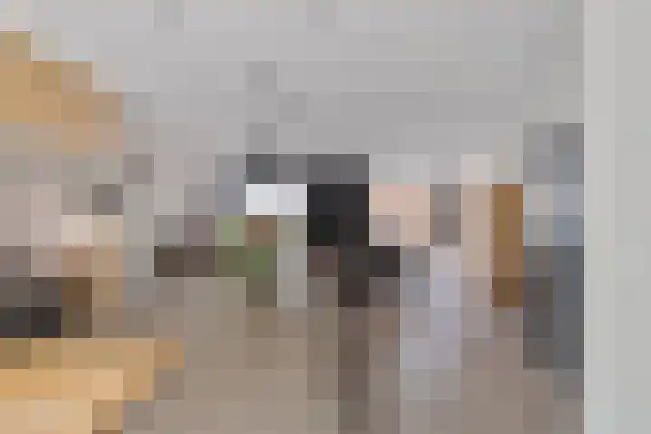 Kievitswei 14 Hilvarenbeek thumbnail 13