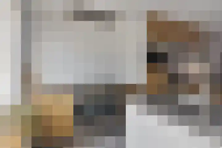 Kievitswei 14 Hilvarenbeek thumbnail 15