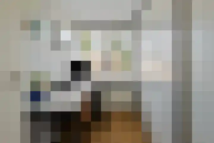 Kievitswei 14 Hilvarenbeek thumbnail 21