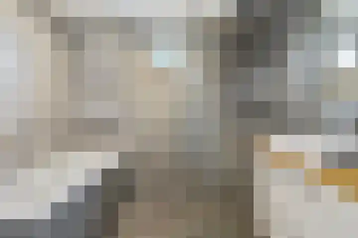 Kievitswei 14 Hilvarenbeek thumbnail 23